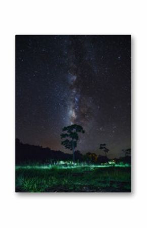 Milky Way and silhouette of tree at Phu Hin Rong Kla National Park,Phitsanulok Thailand, Long exposure photograph.with grain