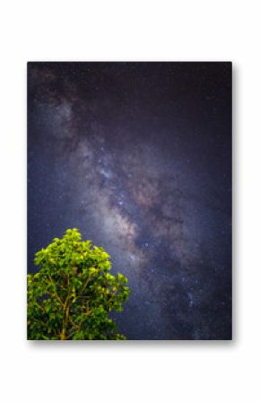 High contrast vertical milky way foreground with bluring green tree