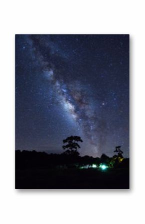 milky way galaxy and silhouette of tree with cloud at Phu Hin Rong Kla National Park,Phitsanulok Thailand