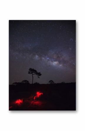 milky way galaxy and silhouette of tree with red light  at Phu Hin Rong Kla National Park,Phitsanulok Thailand