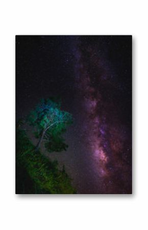 Landscape with Milky way galaxy over tree. Night sky with stars. Long exposure photograph.