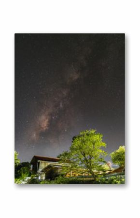 Milky way galaxy and silhouette of tree with stars and space dust in the universe