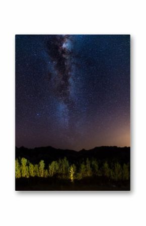 Starry sky and Milky Way arc, with details of its bright colorful core, captured from green oasis in the Namib desert, Namibia, Africa. Adventures into the wild.