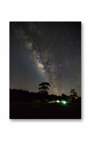 Milky Way Galaxy and Silhouette of Tree with cloud.Long exposure