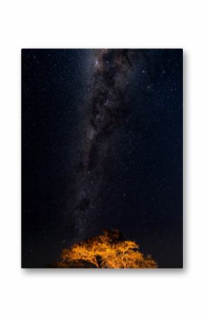 Starry sky and Milky Way arc, with details of its bright colorful core, captured from green oasis in the Namib desert, Namibia, Africa. Adventures into the wild.