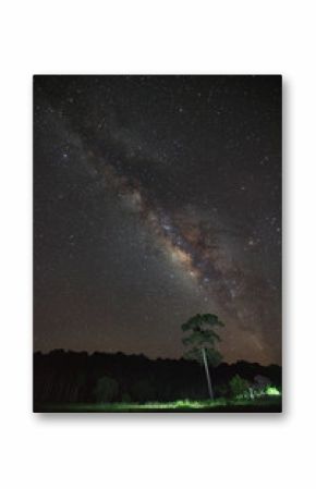 Milky Way and silhouette of tree at Phu Hin Rong Kla National Park,Phitsanulok Thailand, Long exposure photograph.with grain