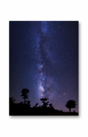 Beautiful milkyway and silhouette of tree on a night sky with stars and space dust in universe