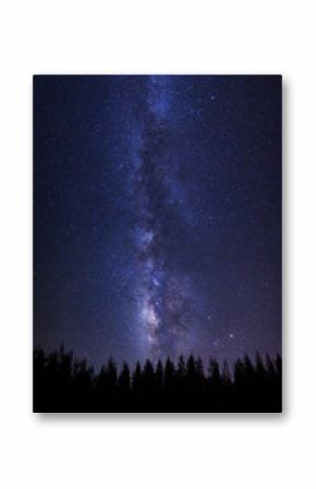 Beautiful milkyway and silhouette of pine tree on a night sky with stars and space dust in universe