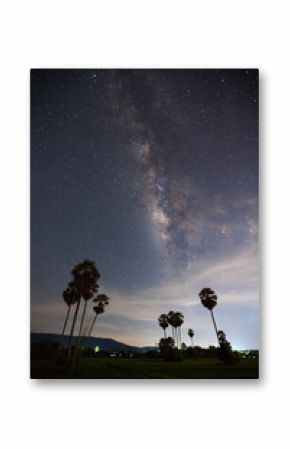 Silhouette of Sugar Plam Tree and Milky Way with cloud