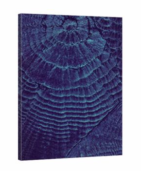 Ripples under microscope