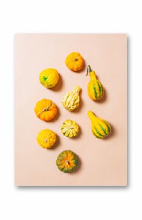 Decorative autumnal gourds