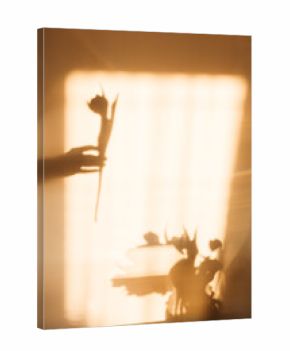 shadow of vase with tulips