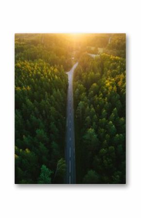 Aerial view of a highway road through the green forest at dreamy sunlight, in a vertical shot