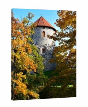 Vertical of the Cesis castle in Latvia surrounded by autumn foliage, beautiful nature in fall colors