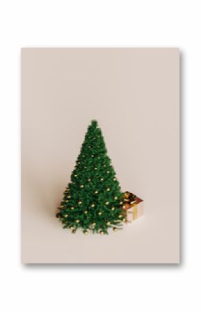 A Christmas tree with a present
