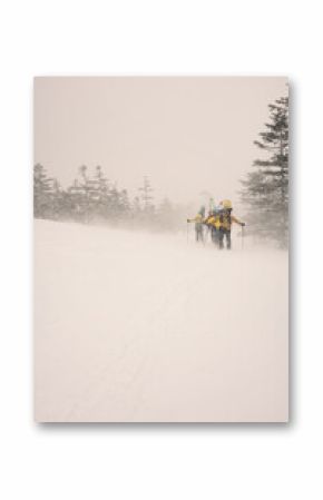 Group of hikers on snowy terrain