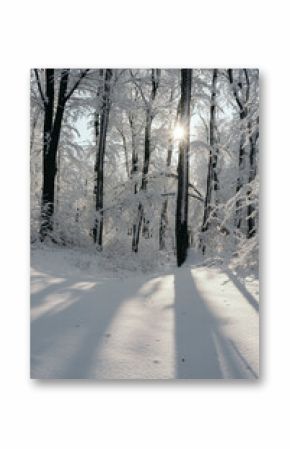 Sun and shadows on snow