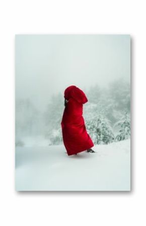Vertical back view of a female covered in a red blanket in the snow