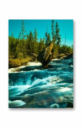 Landscape scene of tranquil Gibbon River at Yellowstone Park with wood trees, vertical shot