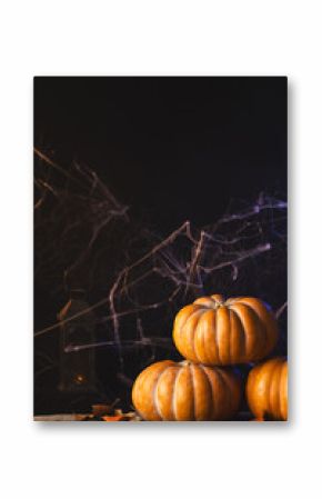 Vertical image of pumpkins and spiderweb decorations with copy space on black background
