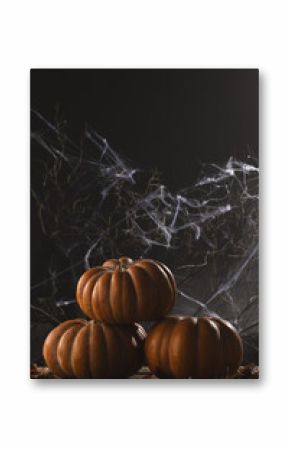 Vertical image of pumpkins and spiderweb decorations with copy space on black background
