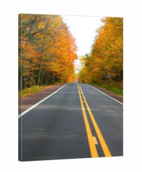 Autumn Drive