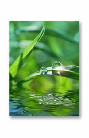 green background with grass