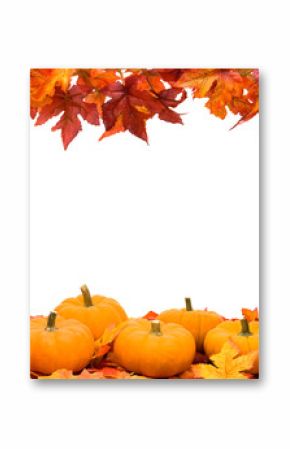 Fall leaves with pumpkin on white background