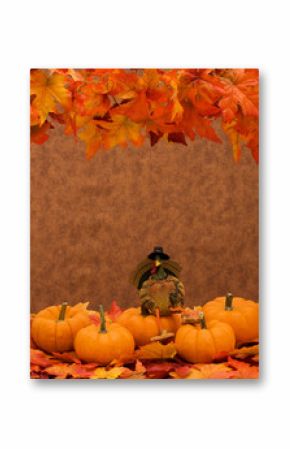 Pumpkins sitting together on leaves with a turkey