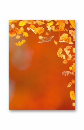 Falling leaves against the autumn background