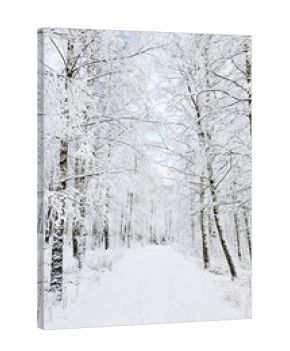 Winter footpaths