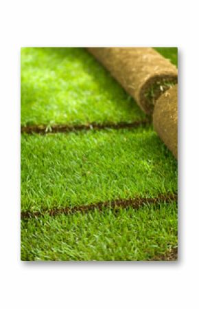 Turf grass rolls partially unrolled