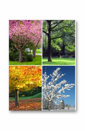 Four seasons