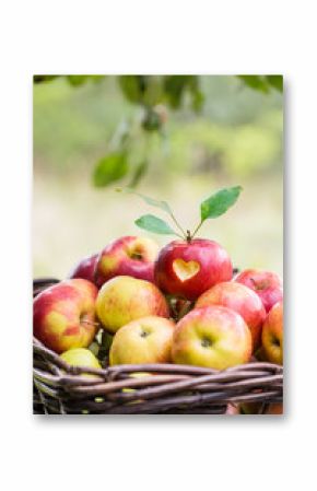 love apples