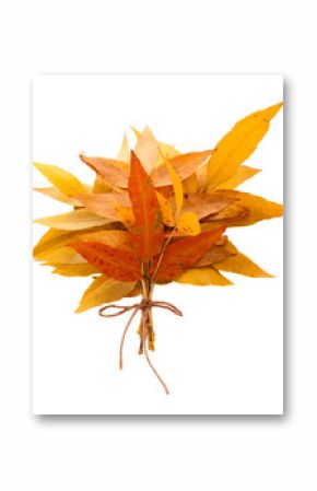 bright autumn leaves bouquet