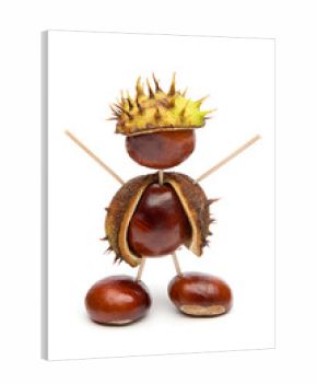 Autumn - Cute little Chestnut Man - Isolated on White