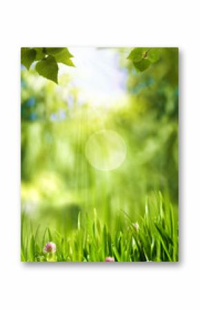 Green world, abstract environmental backgrounds for your design