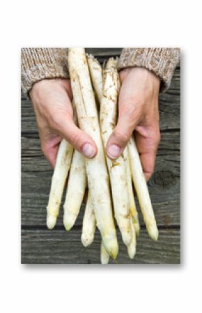 Spargel