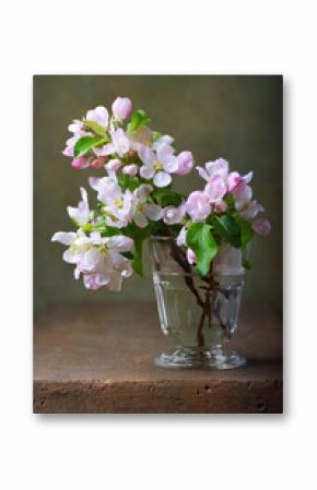 Still life with a branch  of blossoming apple tree