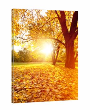 sonnenuntergang im herbst