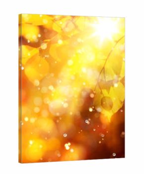 autumn background