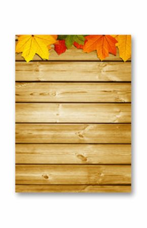 wooden background with autumn maple leaves