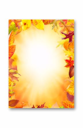 Aautumn frame with multi colored falling leaves 