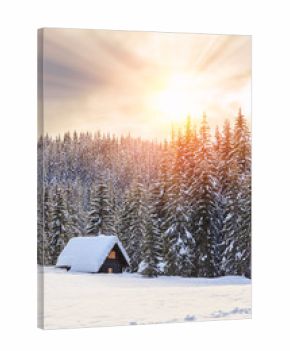 Winter holiday house in slovenia alps