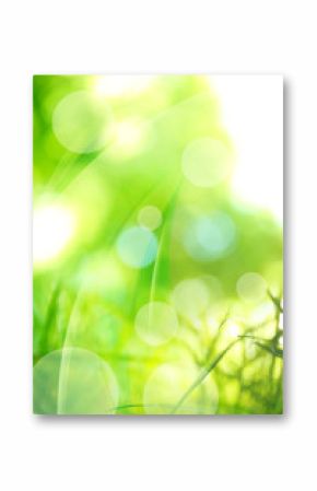 Green abstract nature background with sunlight