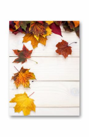 Autumn background with colorful leaves on wooden background