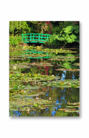 Giverny, jardin d'eau au printemps