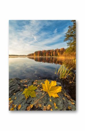 Swedish autumn lake scenery in vertical view