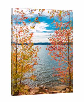 View of lake through beautiful autumn maple trees.