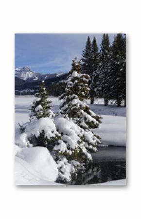 Winter landscape in Lamar Valley, Yellowstone National Park